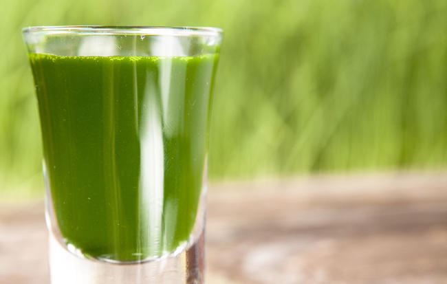 I Took Wheatgrass Shots Every Morning For Two Weeks. Here’s What Happened.